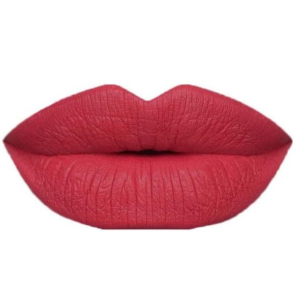 Lash + Lip Combo – Luxury Faux Mink Lashes & Liquid Matte Lipstick